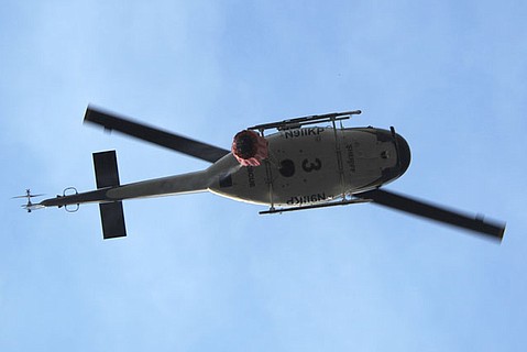 photo thumbnail