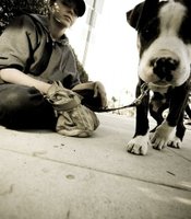 photo thumbnail