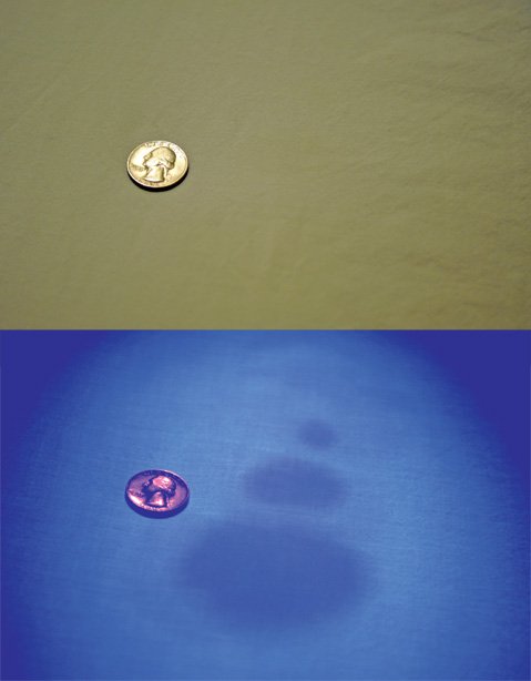 Photo detail