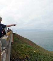 photo thumbnail