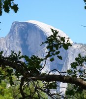 photo thumbnail