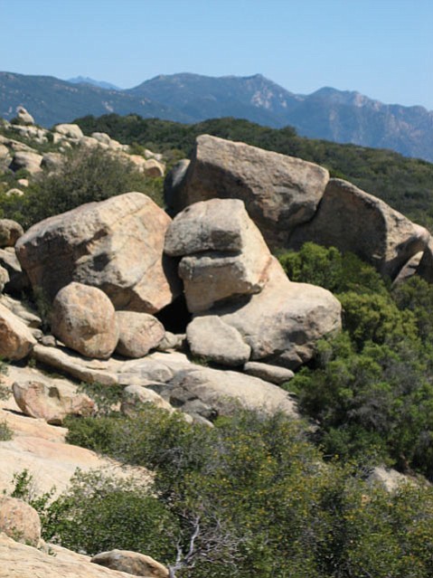 Photo detail