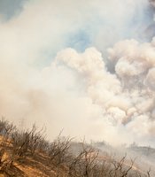photo thumbnail