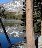 photo thumbnail