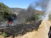 Car burns itself out along the edge of the narrow dirt road leading down to the Farmhouse.