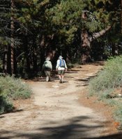 photo thumbnail