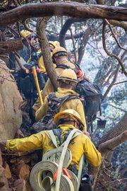 Lookout Fire. Los Padres engine crew and Vandenberg hot shots cut hand line in rugged terrain below Painted Cave.