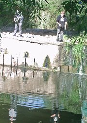 Kyle Dillard, caught on camera April 14, 2013, pleaded guilty to illegally fishing an endangered species and was subsequently fined.