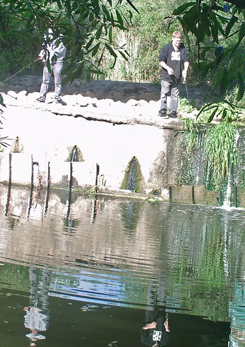 Photo detail
