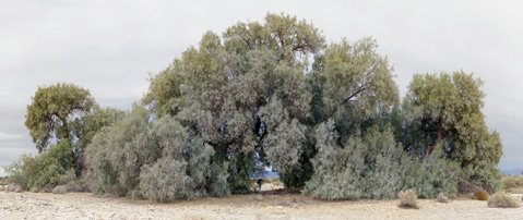 Photo detail