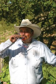 <b>HAPPY DAYS:</b> Felipe Hernandez enjoys the fruits of his 30-plus years of hard work in the vineyard.