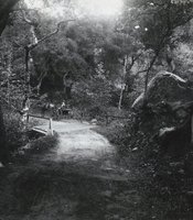 photo thumbnail