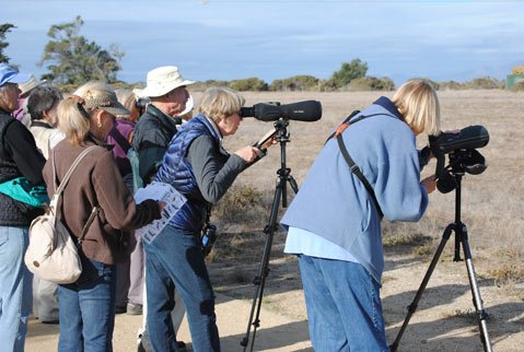 Photo detail