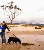 photo thumbnail