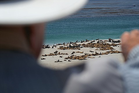 photo thumbnail