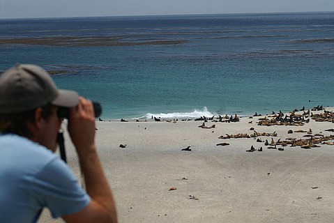 photo thumbnail