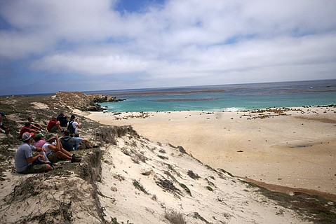 photo thumbnail