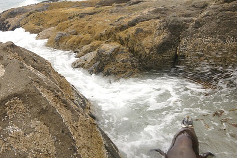 photo thumbnail