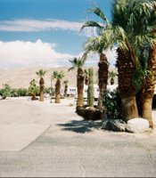 photo thumbnail
