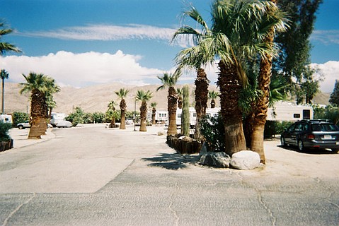 photo thumbnail