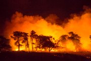 As the wind shifted the flames began to push tier way closer to the ocean. Foreground are the dunes immediately next to the beach and within the protected snowy plover territory.