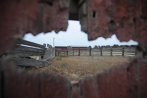 photo thumbnail