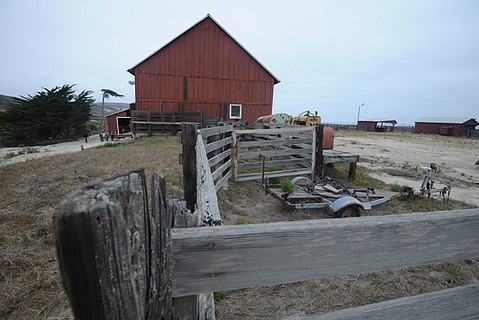 photo thumbnail