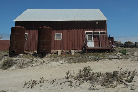 photo thumbnail