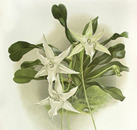Photo detail