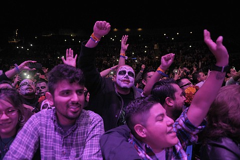 photo thumbnail