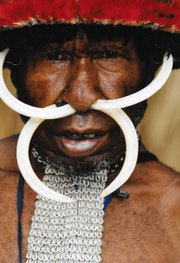 This Lani tribesman is dressed for a ceremony, which includes boar tusks through his septum.