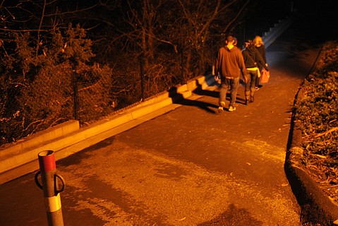 photo thumbnail