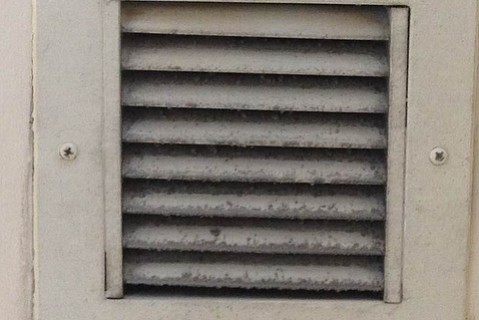 photo thumbnail