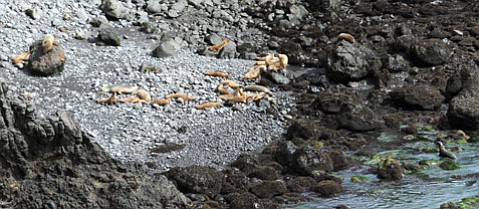 Photo detail