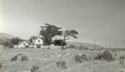 Photo detail