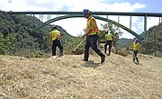 Santa Barbara County Fire Department's wildland firefighters Crews work to clear vegetation along Stagecoach Road. (May 6, 2015) .