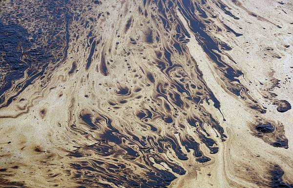 Photo detail