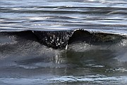 Waves off Refugio Beach churn and move the oil spill along the coastline (May 19, 2015)