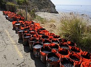 Several citizens outraged by the response time of the oil spill cleanup and taking matters into their own hands, filling buckets just South of Refugio Beach (May 20, 2015)