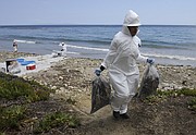 Cleanup from the Plains Oil spill continues on the coast of Refugio State beach (May 21, 2015)