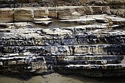 Cleanup from the Plains Oil spill continues on the coast of Refugio State beach (May 21, 2015)
