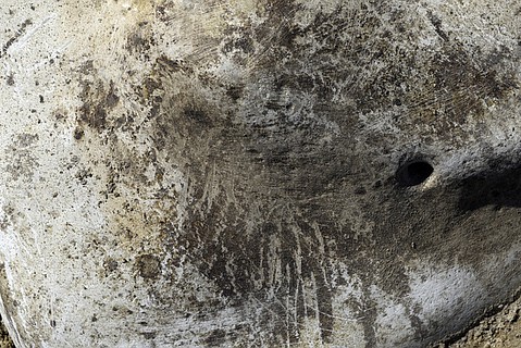 photo thumbnail