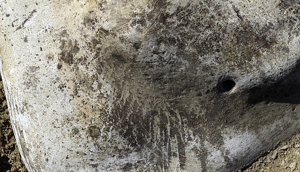 Photo detail