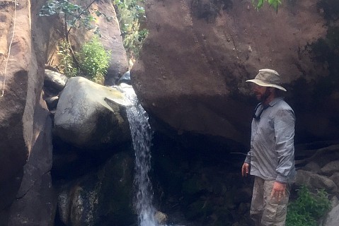 photo thumbnail