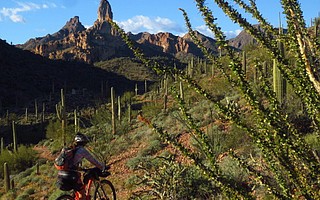 Eszter Horanyi has learned to travel light when she bikepacks.