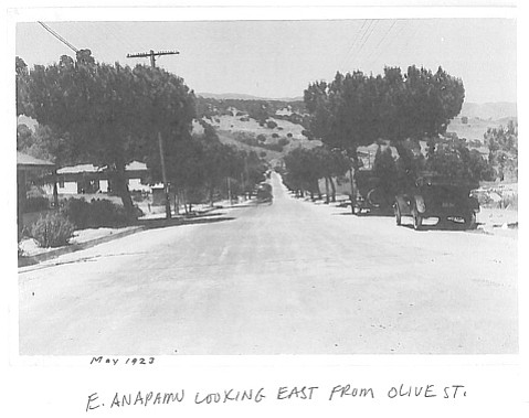 Photo detail
