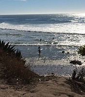 photo thumbnail