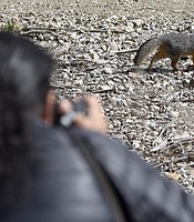 photo thumbnail