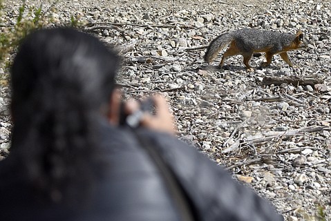 photo thumbnail