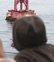 photo thumbnail